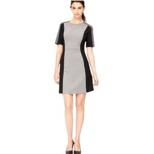 LOFT Color Block Sheath Dress
